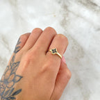 La Fortuna Medianoche Set