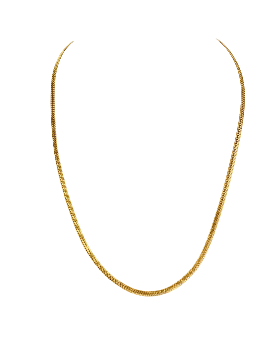 La chaîne de Méduse